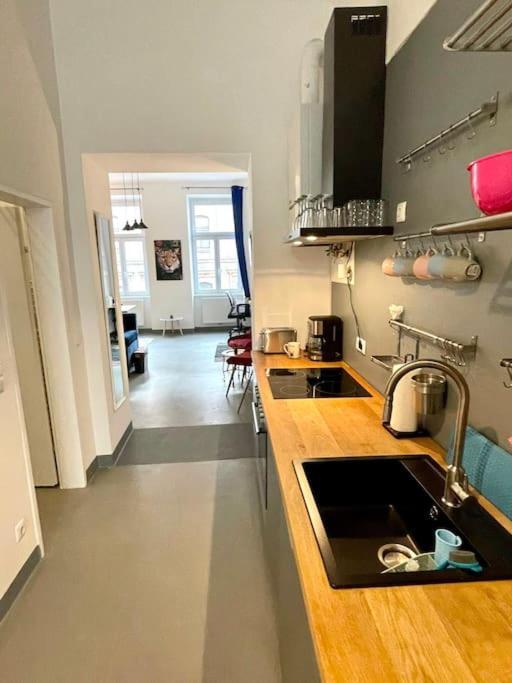 Klimatisierte Sehr Zentrale Wohnung-Loftstyle- Vienna Exterior photo